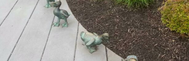 Family Stroll Duck sculptures